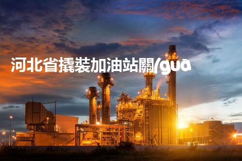 河北省撬裝加油站關(guān)鍵技術(shù)突破！化工廠拆除工程的新方法探索？